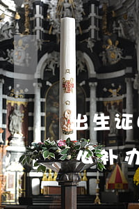 出生证明丢了怎么办(出生证明丢了怎么办怎么补办离异)