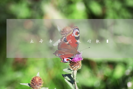 出示本票代表付款嗎