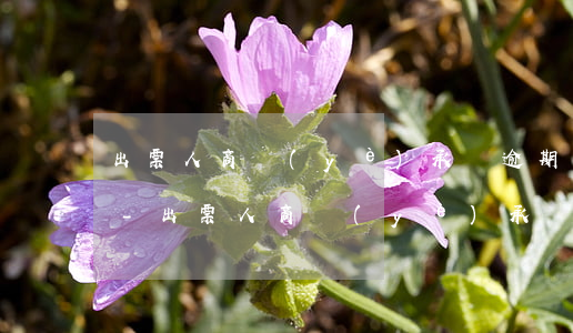 出票人商業(yè)承兌逾期有什么影響嗎-出票人商業(yè)承兌逾期有什么影響嗎怎么辦