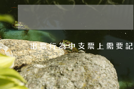 出票行為中支票上需要記載哪些事項
