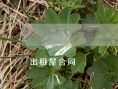 出租屋合同