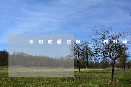 出租房屋合同糾紛如何解決(房屋租賃合同糾紛)