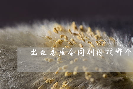 出租房屋合同纠纷找哪个部门处理