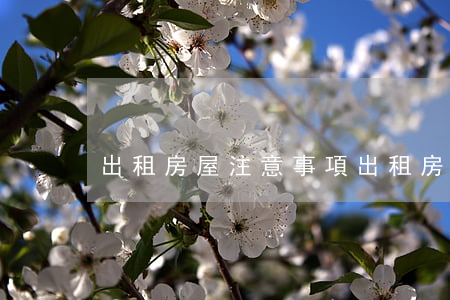 出租房屋注意事項(出租房屋注意事項)