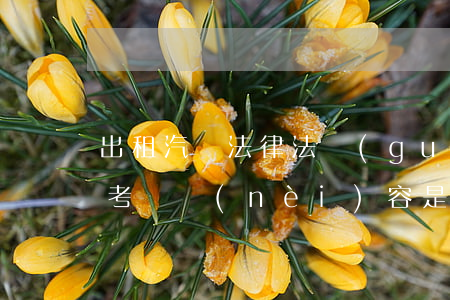 出租汽車法律法規(guī)考題(出租車考試內(nèi)容是什么)