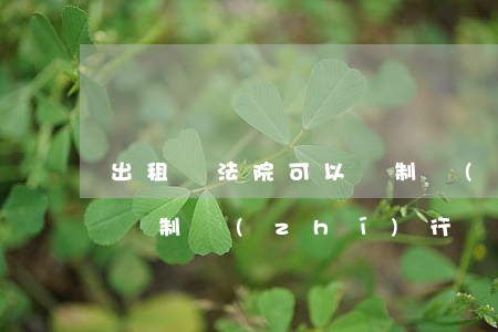 出租車法院可以強制執(zhí)行嗎(法院強制執(zhí)行車輛)