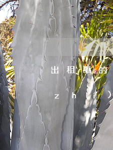 出租車的使用權(quán)法院可以執(zhí)行嗎(出租車經(jīng)營權(quán)轉(zhuǎn)讓的法律規(guī)定)