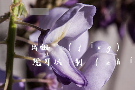 出租車經(jīng)營權(quán)法院可以強制執(zhí)行嗎(出租車法院怎么執(zhí)行)