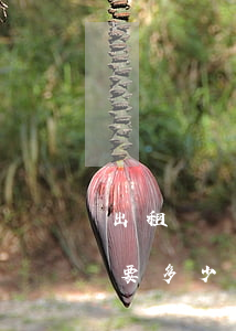 出租車經(jīng)營權(quán)需要多少錢(出租汽車經(jīng)營權(quán))