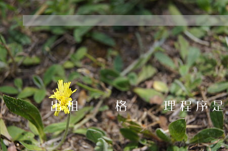 出租車資格證辦理程序是什么