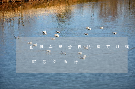 出租车经营权法院可以强制执行吗(出租车法院怎么执行)