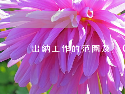 出納工作的范圍及內(nèi)容是什么
