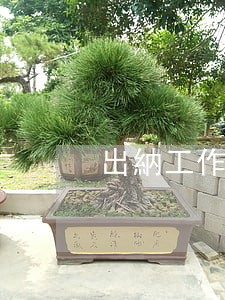 出納工作職責(zé)