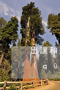 出讓和劃撥地哪個值錢(出讓地和劃撥地的區(qū)別在哪里)
