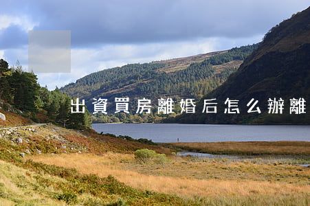 出資買房離婚后怎么辦(離婚后自己買房)