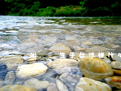 出賣親生子女涉嫌什么罪名