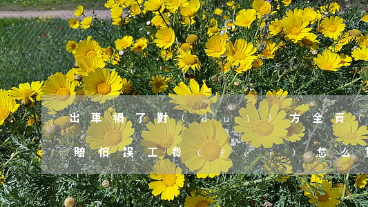出車禍了對(duì)方全責(zé)怎么賠償誤工費(fèi)怎么算(出車禍了對(duì)方全責(zé)怎么賠償誤工費(fèi)怎么算)