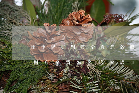 出車禍了對方全責怎么賠償誤工費(出車禍了對方全責怎么賠償誤工費保險公司)