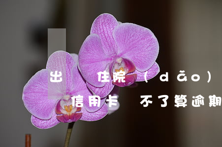 出車禍住院導(dǎo)致信用卡逾期(出車禍信用卡還不了算逾期嗎)