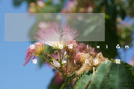 出車禍后保險(xiǎn)一般賠多少(車禍保險(xiǎn)能賠多少)