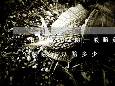 出車禍后保險一般賠多少(車禍中自己受傷了,保險可以賠多少?)
