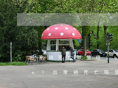 出車禍死亡賠償標(biāo)準(zhǔn)(出車禍死亡賠償標(biāo)準(zhǔn)案例)