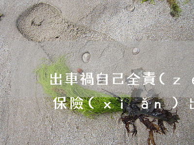 出車禍自己全責(zé)的話多少錢以上走保險(xiǎn)?(出車禍了自己全責(zé)保險(xiǎn)怎么賠償)