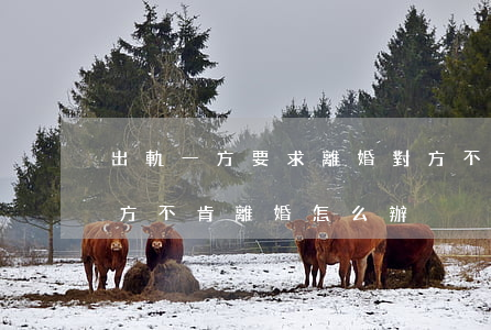 出軌一方要求離婚對方不同意咋辦(如果出軌方不肯離婚怎么辦)