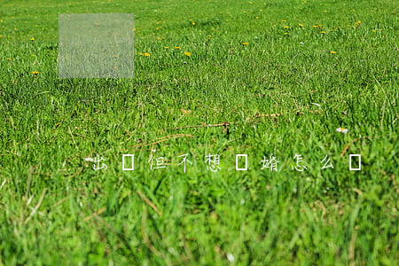 出軌但不想離婚怎么辦