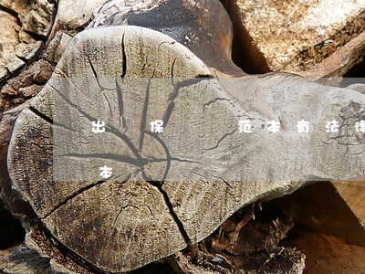 出軌保證書范本(有法律效力的出軌保證書范本)