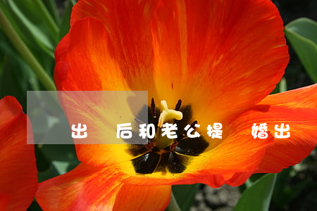 出軌后和老公提離婚(出軌方可以提離婚嗎)