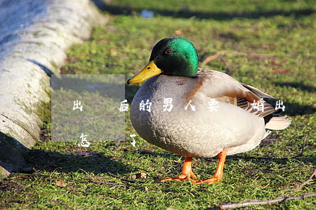 出軌后的男人要離婚(出軌離婚的男人后來都怎樣了)