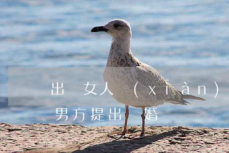 出軌女人現(xiàn)場要離婚(女人出軌男方提出離婚)