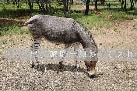 出軌家庭一般多長(zhǎng)時(shí)間會(huì)離婚(老公出軌離婚最佳時(shí)間)