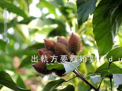出軌方要離婚對(duì)方不離婚怎么辦