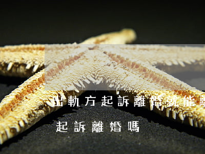 出軌方起訴離婚就能離嗎(出軌的那一方可以起訴離婚嗎)
