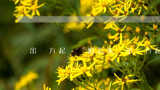 出軌方起訴離婚怎么辦(出軌方起訴離婚就能離嗎)