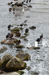出軌男人為什么起訴離婚(出軌方有權(quán)利起訴離婚嗎?)