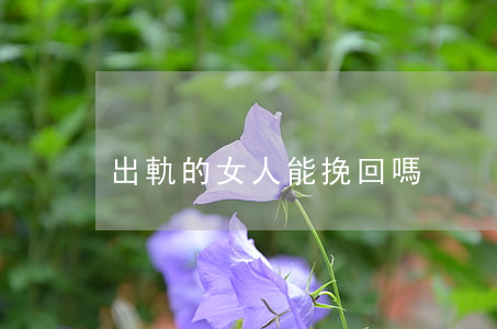 出軌的女人能挽回嗎