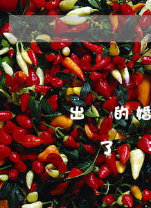 出軌的婚姻該離婚還是堅(jiān)持(出軌了該不該離婚)