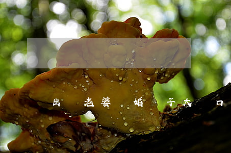 出軌老婆離婚獅子大開口怎么辦