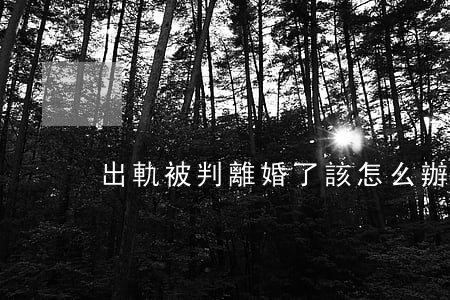 出軌被判離婚了該怎么辦