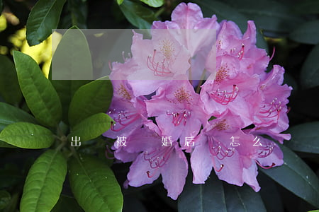 出軌被離婚后該怎么辦