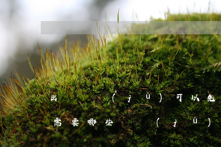 出軌證據(jù)可以先到法院備案嗎(出軌需要哪些證據(jù)才能立案)