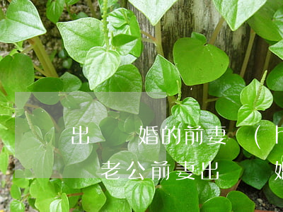 出軌離婚的前妻會(huì)想前夫和兒女嗎(老公前妻出軌離婚現(xiàn)在前妻和他聯(lián)系)