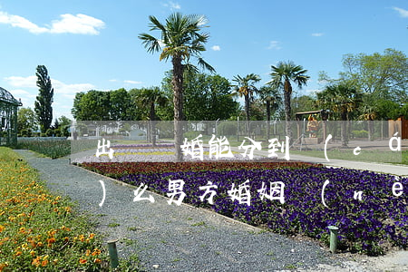出軌離婚能分到財(cái)產(chǎn)么(男方婚姻內(nèi)出軌離婚可以分割財(cái)產(chǎn)嗎?)
