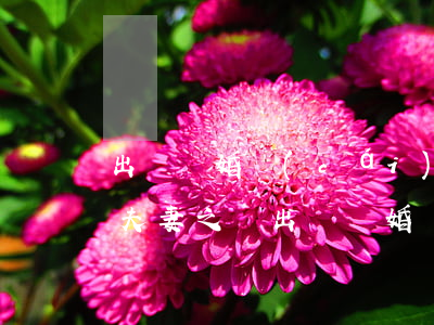 出軌離婚財(cái)產(chǎn)分割(夫妻之間出軌離婚財(cái)產(chǎn)分割)
