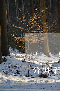 出軌離婚財(cái)產(chǎn)如何分割新婚姻法2022(出軌離婚財(cái)產(chǎn)如何分割新婚姻法2022)