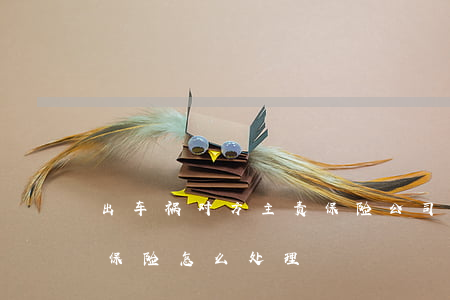 出车祸对方主责保险公司怎样赔偿(车祸主责保险怎么处理)