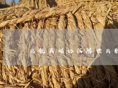 出轨离婚协议陪偿(出轨离婚协议陪偿)